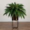3ft. Boston Fern in Brass Metal Planter with Stand